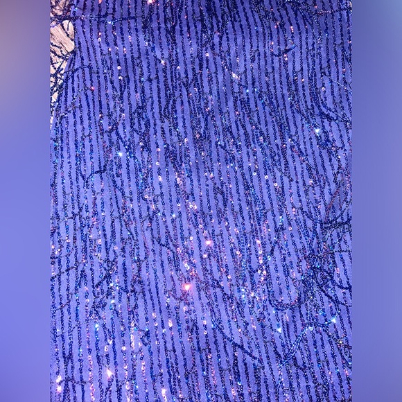 Windsor Sequin Tassle formal dress - Picture 3 of 5